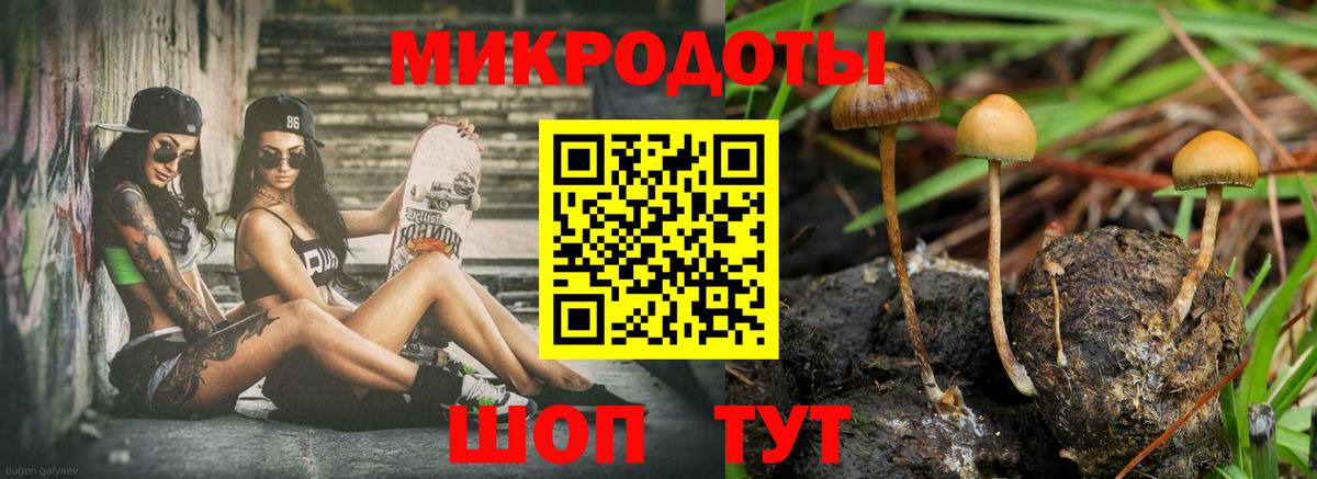 Галлюциногенные грибы Cubensis  Вход с VPN  Луга 