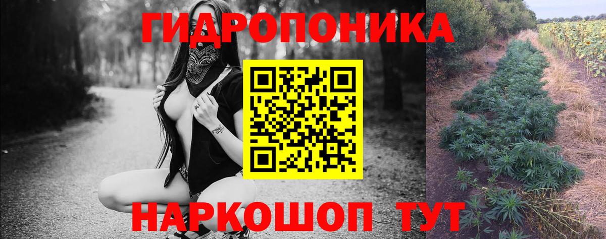 Бошки Шишки AK-47  Вход с VPN  Конопля SATIVA & INDICA  Конопля THC 21%  Луга 